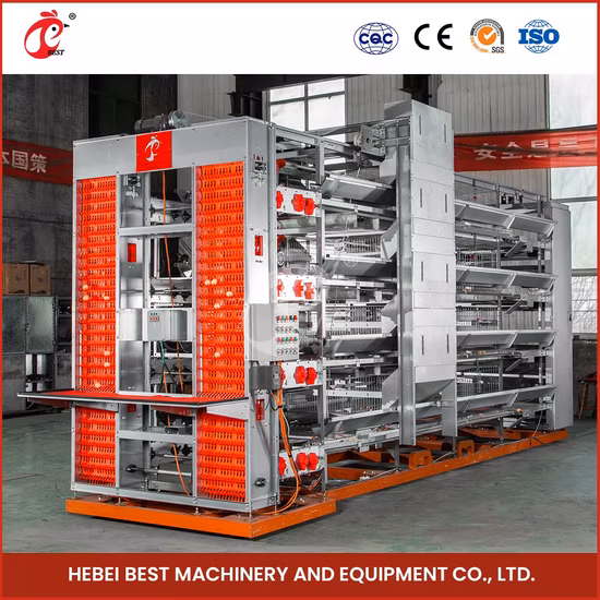 Bestchickencage Tipo H Gaiola para criadores Gaiola de camada China Gaiola de frango ao ar livre fornecedor OEM Gaiolas de camada facilmente limpas personalizadas Fazenda de aves de galinha de ovo