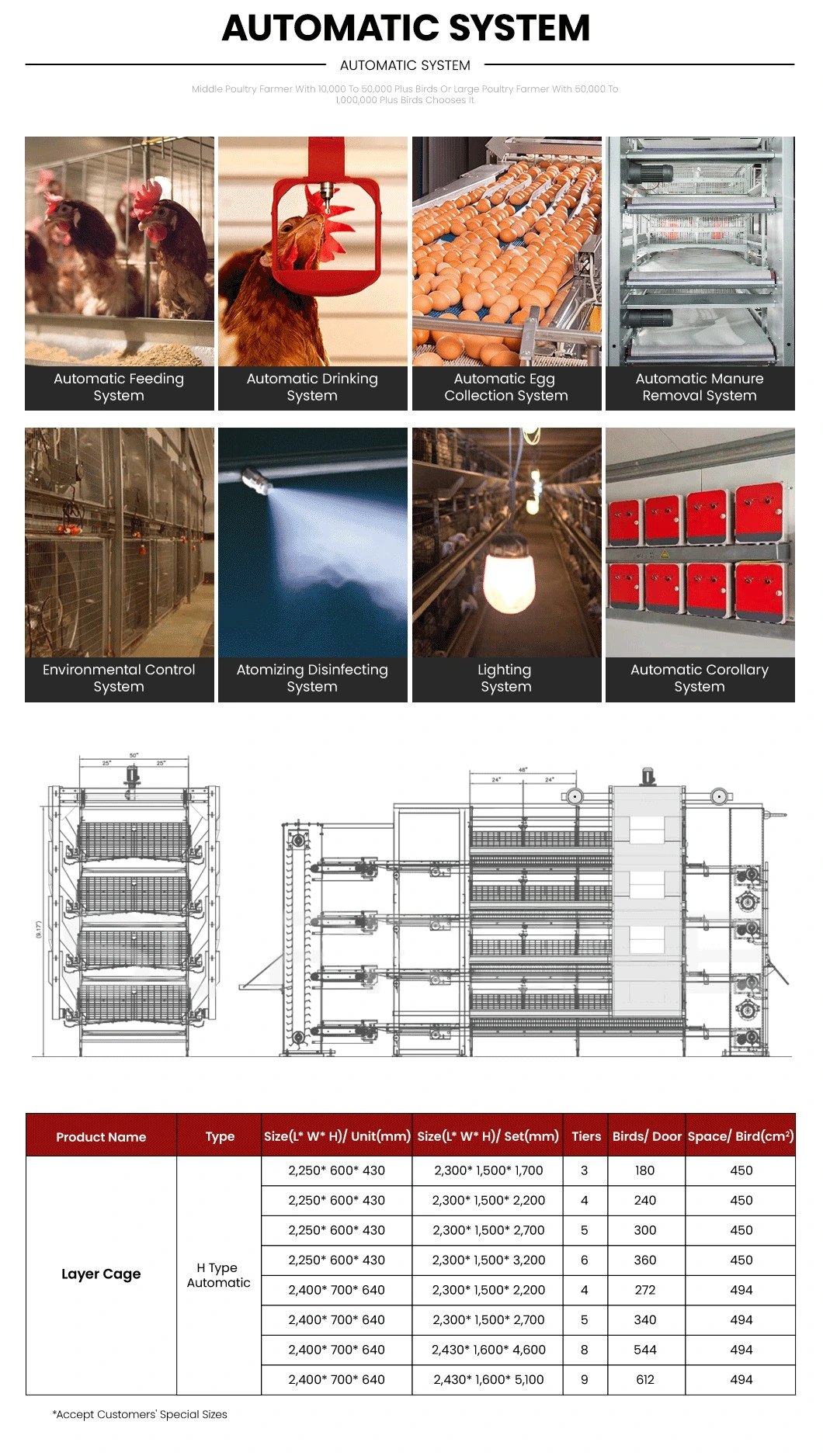 Bestchickencage H Type Breeder Cage Layer Cage China Outdoor Chicken Layer Cage Frame Manufacturing Free Sample Automatic Layer Cages Egg Chicken Poultry Farm