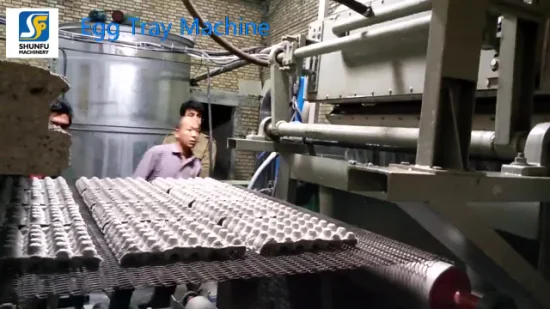 Revestimento de equipamentos para máquinas de fabricação de ovos a partir da reciclagem de resíduos de papel