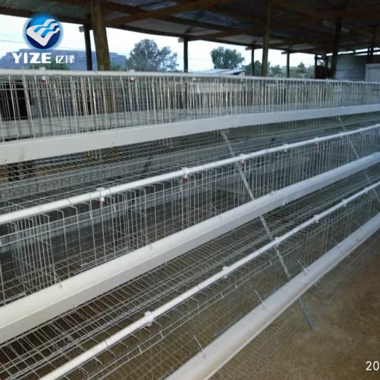 Fabricação de fábrica começando a construir uma fazenda de galinhas